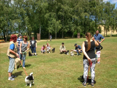 Welpenstunde_1
