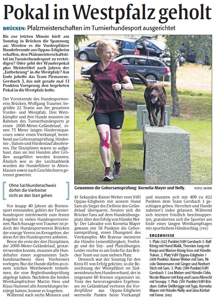 Rheinpfalzartikel_1