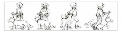 Rally Obedience